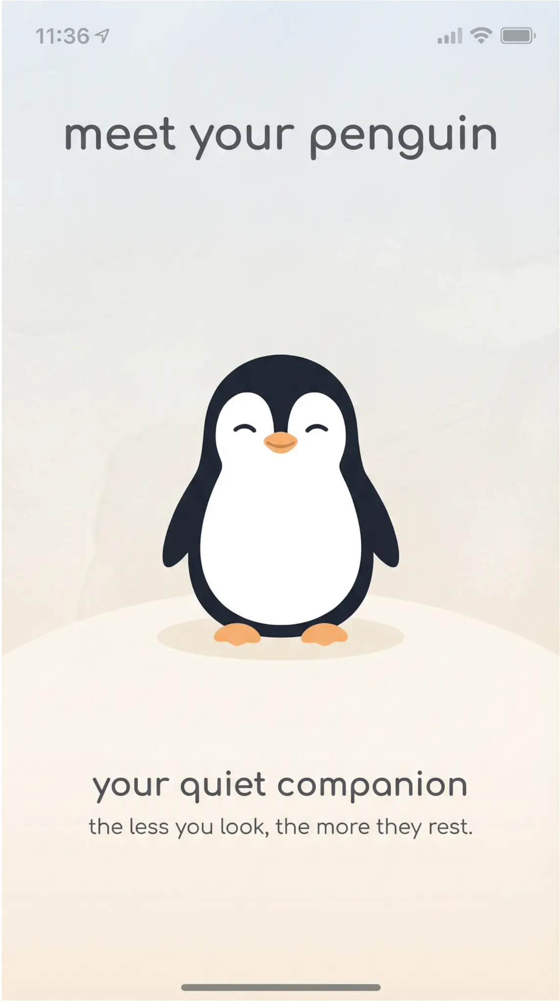 meet your penguin